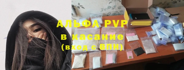 стаф Аркадак