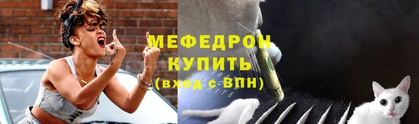 стаф Аркадак