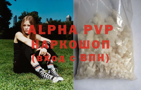 стаф Аркадак
