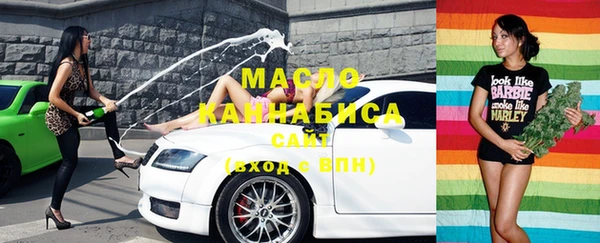 стаф Аркадак