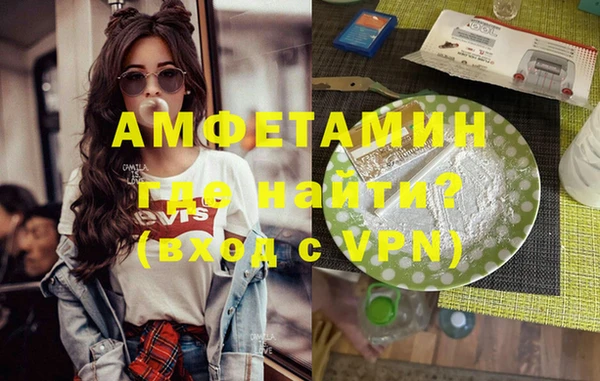 стаф Аркадак
