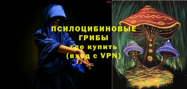 гашик Армянск
