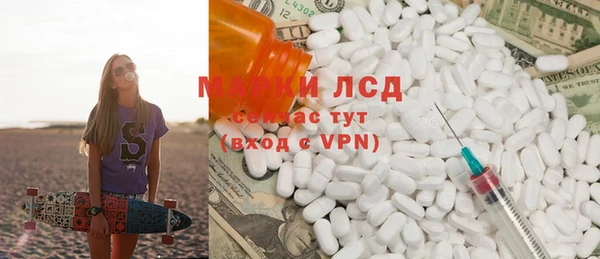стаф Аркадак